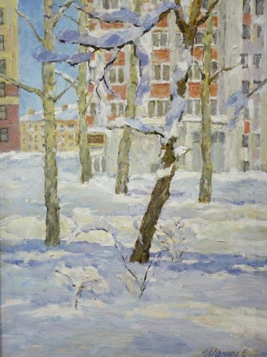 Улица Заслонова Шапиро Е.Е.