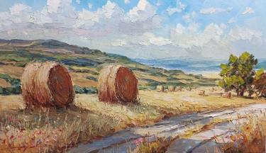 Стожки Залялетдинов Р.Ф.