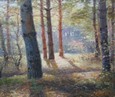 Утренний лес 113