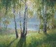 Утренние берёзы 113