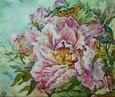 Пион (батик) 97