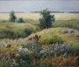 Летние просторы 113