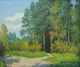 Дорога в лесу 77