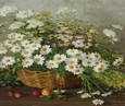 Полевые цветы 133
