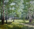 Окрестности Красногорска 205