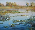 Озеро с кувшинками 113