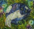 Кошки 97