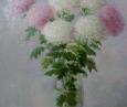 Хризантемы 158