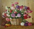 Астры 133