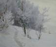 Зима. Тропинка 118