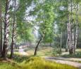 Берёзовая роща 205
