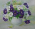 Фиалки 158