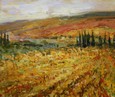 Виноградники Тосканы Комаров Н.П.