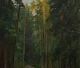 Тропинка 118