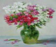 Флоксы 158