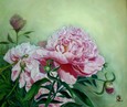 Пион 136