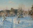 Зимняя красота 113